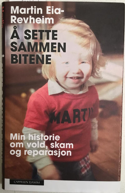 Å sette sammen bitene. Min historie om vold, skam…