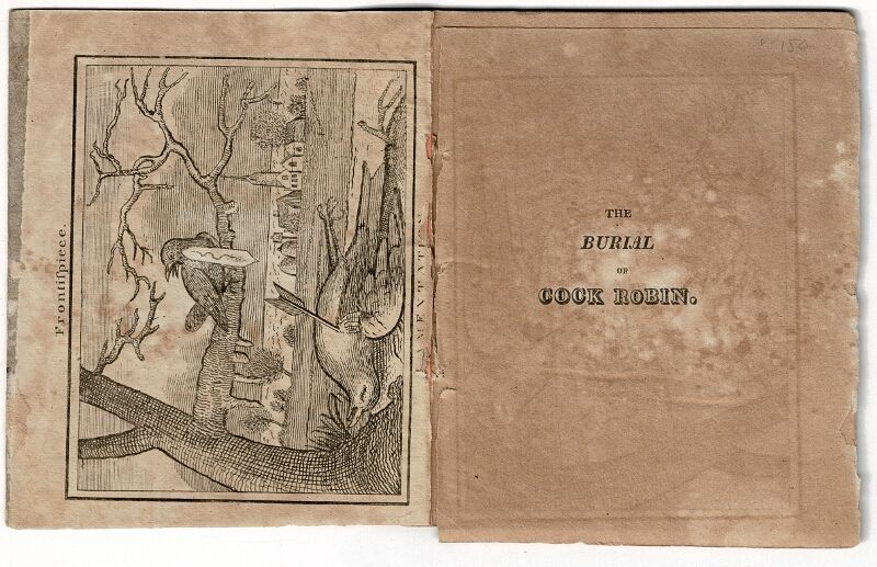 The tragi-comic history of the burial of Cock Robi