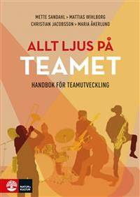 Allt ljus på teamet. En handbok för…