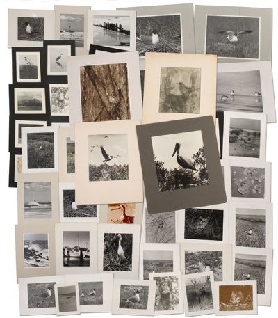 (Delaware / New Jersey), 1958. Unbound. Near Fine. A collection of 47 mounted photographs by the New...