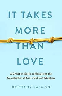 It Takes More Than Love: A Christian Guide to Navigating the Complexities of Cross-Cultural Adoption