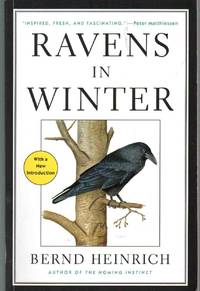 RAVENS IN WINTER by Heinrich, Bernd - 2014