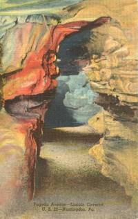 Pagoda Avenue, Lincoln Caverns, Huntington, Pa – unused linen Postcard