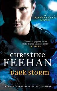 image of Dark Storm: Number 23 in series