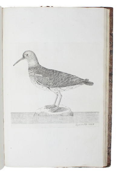 Zoologia Danica seu Animalium Daniae et Norvegiae rariorum ac minus notorum Descriptiones et Historia. Volumen I-IV. (Auctore O.F. Müller. - Vol. III: P.C. Abildgaard - IV: P.C. Abildgaard, M. Vahl, J.S. Holten, J. Rathke). - [THE ZOOLOGICAL COUNTERPART TO FLORA DANICA] (photo 2)