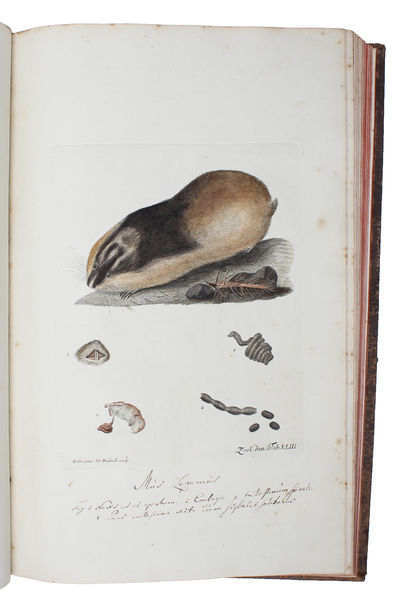 Zoologia Danica seu Animalium Daniae et Norvegiae rariorum ac minus notorum Descriptiones et Historia. Volumen I-IV. (Auctore O.F. Müller. - Vol. III: P.C. Abildgaard - IV: P.C. Abildgaard, M. Vahl, J.S. Holten, J. Rathke). - [THE ZOOLOGICAL COUNTERPART TO FLORA DANICA] (photo 3)