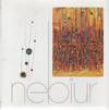 NEBIUR