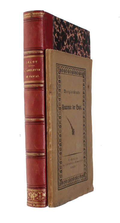 Vergleichende Anatomie der Engel.