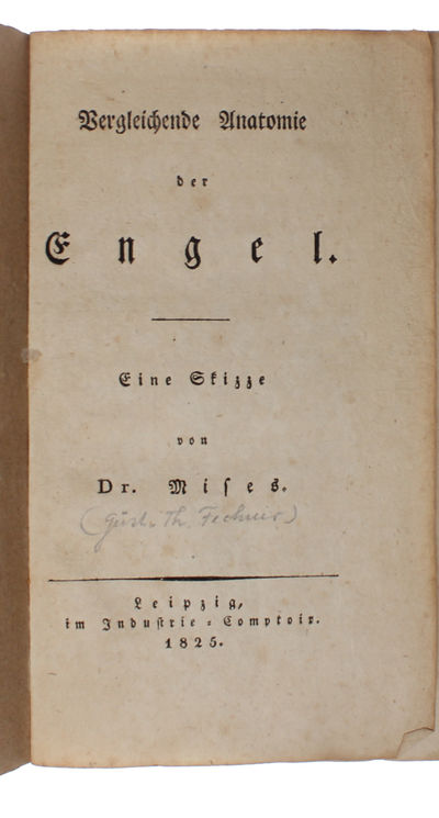 Vergleichende Anatomie der Engel. (photo 6)