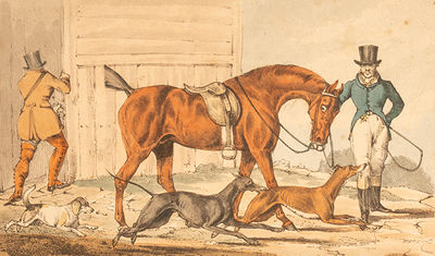 Coursing