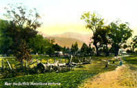Near the Buffalo Mountains, Victoria by Postcard - 1920 - from Antipodean Books, Maps & Prints (SKU: 14134)