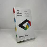 The Efficiency Paradox: What Big Data Can't Do