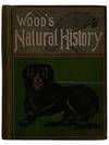 Illustrated Natural History (Animals and Birds)