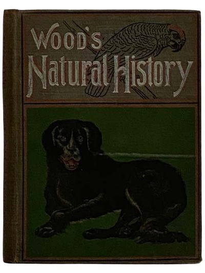 Illustrated Natural History (Animals and Birds)