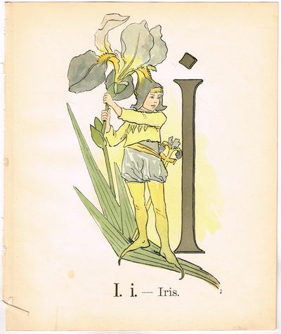 Prinsarnes Blomsteralfabet. I. i. – Iris.