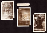 Thumbnail 29