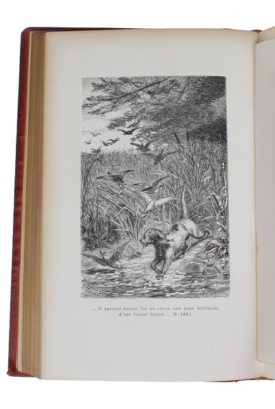Contes Danois. + Nouveau Contes Danois. Traduits pour la premiere fois par MM. Ernest Grégoire & Louis Moland. Illustrés d'apres les dessins de M. Yan' Dargent. - [IMPORTANT ASSOCIATION-SET] (photo 5)
