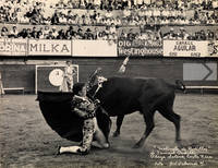 Suite of Twenty Photographs of Male and Female Bullfighters in Plaza Solera, Costa Rica, c. 1940s