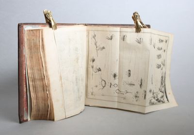 Allgemeine Abhandlung von den Fischereyen und Geschichte der Fische,...  übersetzt und mit Anmerkungen herausgegeben von Daniel Gottfried Schreber. 3 volumes. (photo 3)