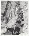 Climbing the Walls of Zion