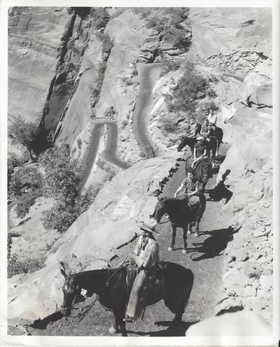 Climbing the Walls of Zion