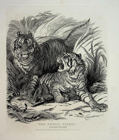 FOLIO ENGRAVED PLATES. Characteristic Sketches of Animals, Pricipally in the Zoological Gardens, Regent's Park, Drawn from the Life and Engraved by Thomas Landseer: with descriptive and illustrative notices by John Henry Barrow, Esqre., Dedicated by Permission to the Zoological Society