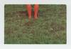 Exhibition postcard: Jan Dibbets: Painting 1/2 made in Holland