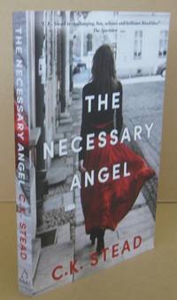 The Necessary Angel