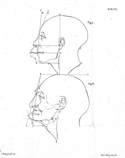 Dissertation Physique de Mr. Pierre Camper, sur les Differences Reelles que Presentent les Traits du Visage Chez les Hommes de Differents Pays et de Differents Ages; sur le Beau qui Caracterise les Statues Antiques et les Pierres Gravees. Suivie de la Proposition d'Une Nouvelle Methode pour Dessiner Toutes Sortes de Tetes Humaines avec la Plus Grande Surete, Publie Apres le Deces de l'Auteur par Son Fils Adrien Gilles Camper, Traduite du Hollandois par Denis Bernard Quatremere d'Isjonval. [Physical Dissertation, on the Real Differences Presented in the Features of the Face in Men of Different Countries and Different Ages; on the beauty that characterizes ancient statues and engraved stones. Followed by the proposal of a new method of drawing all kinds of human heads with the greatest confidence. Published after the death of the author by his son Adrien Gilles Camper, translated from the Dutch by Denis Bernard Quatremere d'Isjonval]