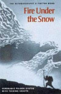 cover of Fire under the snow