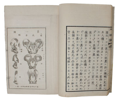 Jinsoron (i.e. Japanese "On the Ancestor(s) of Man", Translated by Kozu Senzaburo, original title: "Descent of Man"). 3 vols. - [FIRST TRANSLATION OF DARWIN INTO JAPANESE] (photo 6)
