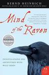 Mind Of the Raven