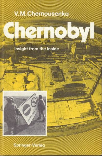 Chernobyl. Insight from the Inside.