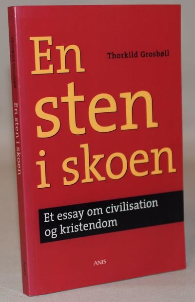 En sten i skoen - et essay om civilisation og…