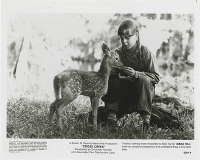 Cross Creek (Original photograph from the 1983 film)