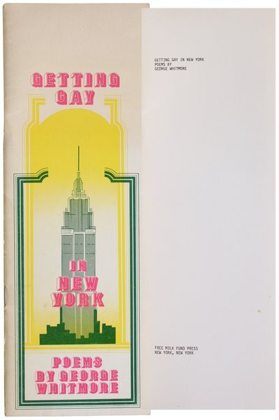 Getting Gay In New York