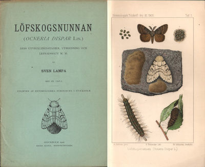 LÖFSKOGSNUNNAN. (OCNERIA DISPAR Lin.) dess…