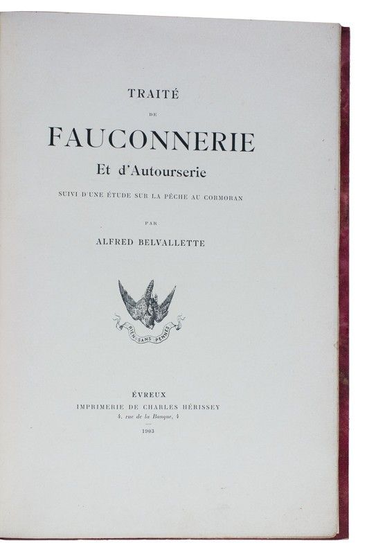 Échelle De Fauconnerie Numérique Avec Anneau Et AstroTurf Authentique Et Pratique G 389834 Échelle De Fauconnerie Numérique Avec Anneau Et AstroTurf Authentique Et Pratique G 389834