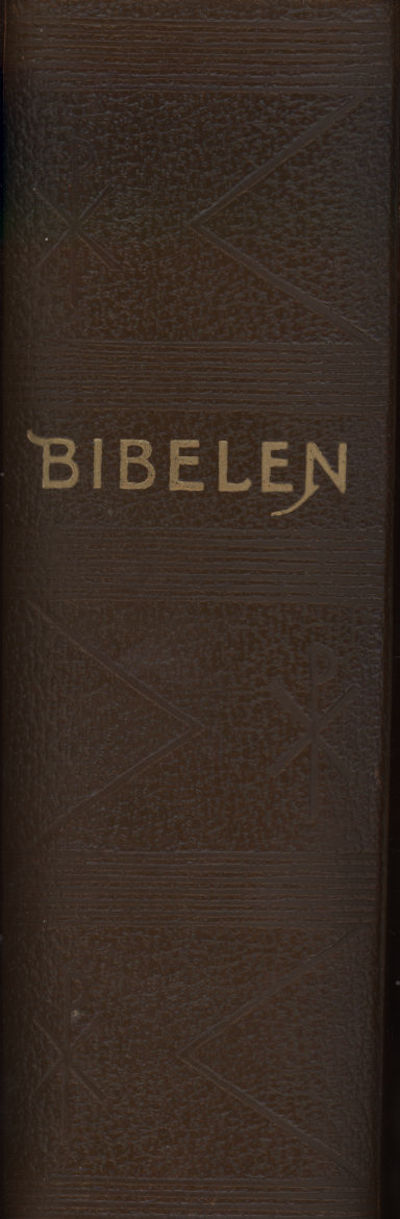 Illustrert familiebibel