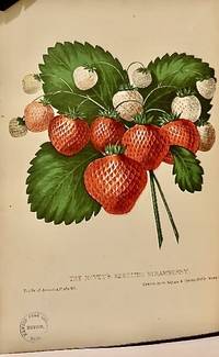 The Fruits Of America, Containing Richly Colored Figures, And full descriptions On All The Choicest Varieties Cultivated In The United States