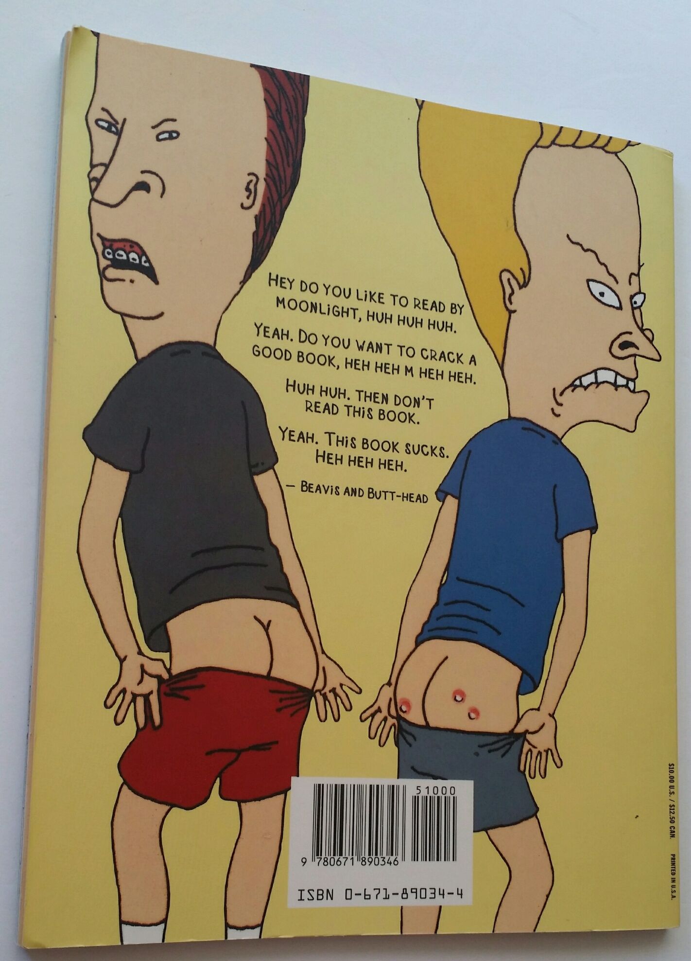 BEAVIS AND BUTT HEAD THIS BOOK SUCKS MTV'S (Mtv's Beavis and Butt
