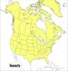 A Field Guide To Insects