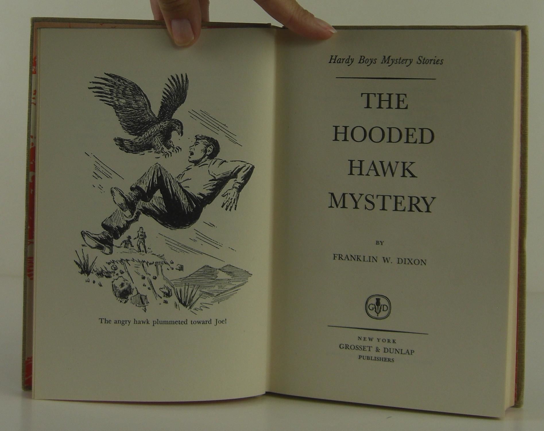 Unmasking The Monster The Person Responsible For Alice Hardys Death - wnigycf