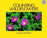 Counting Wildflowers