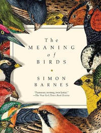 The Meaning of Birds