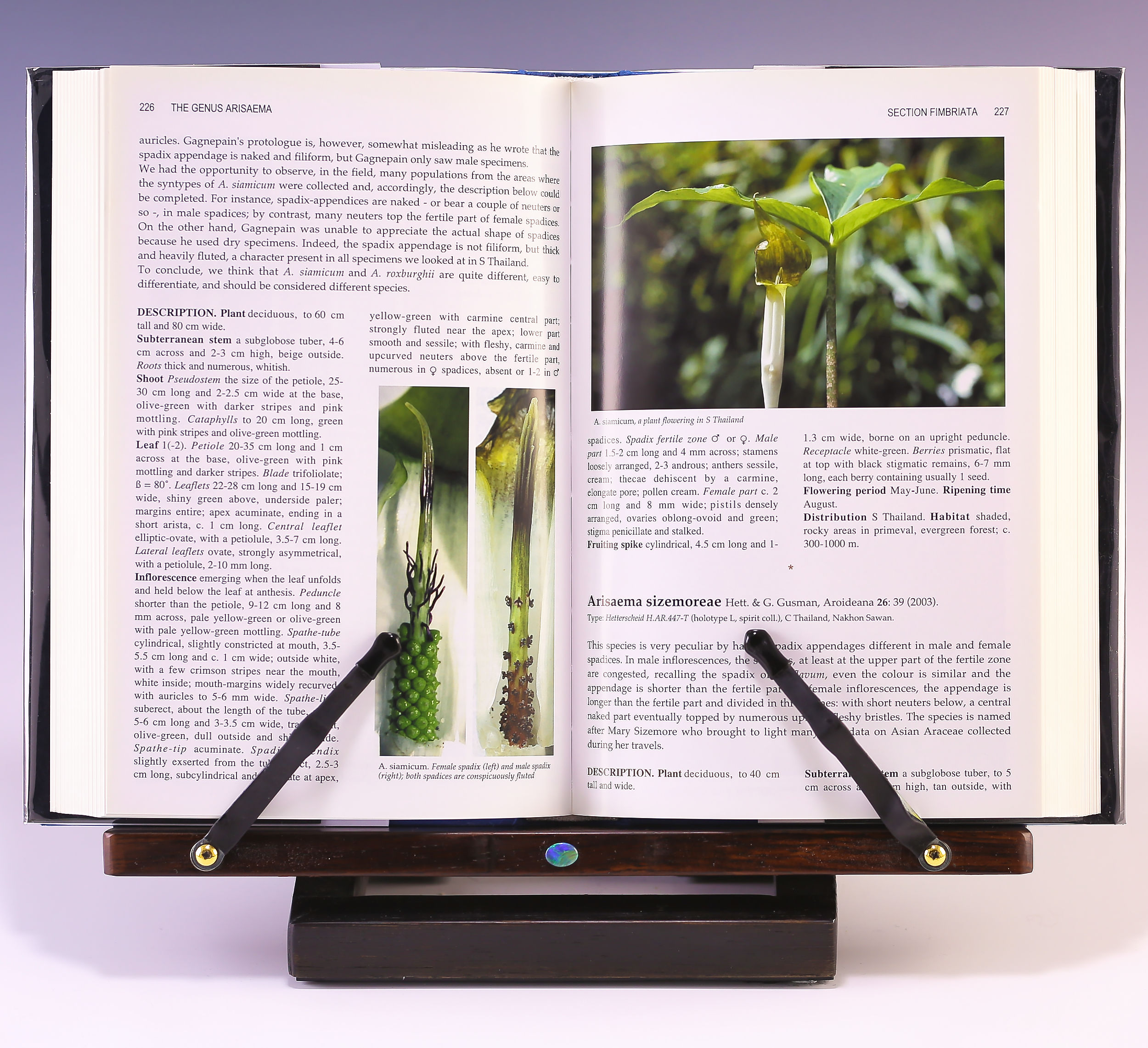 洋書 THE GENUS ARISAEMA Guy & Liliane Gusman The Genus Arisaema: A Monograph for Botanists and Nature Lovers by
