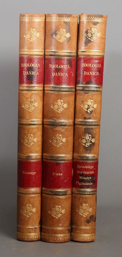 Zoologia Danica. Afbildninger af Danske Dyr med…
