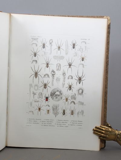 Zoologia Danica. Afbildninger af Danske Dyr med populær Text. Paabegyndte af J. C. Schiødte. Udg. af H. J. Hansen. 4 bind. Kjøbenhavn, E. Jespersen, 1878- 1907. Folio. Bind 1. Pattedyr. IV + 306 + VII s. + 17 kobberstukne plansjer. Bd. 2. Fiske. 360 + XX s. + 33 kobberstukne plansjer. 4 Bd. 1. afd. Mosedyr. 105 s. + 9 kobberstukne plansjer. Spindeldyr. 131 + IX s. + 7 kobberstukne plansjer. Snylteorme. 34 + IV s. + 3 kobberstukne plansjer. De ""Pighudede"". 30 + II s. + 3 plansjer. (Alt som utkom). (photo 3)