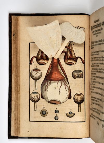 Ophthalmoduleia [:in Greek] das ist Augendienst