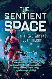 The Sentient Space: Is There Anyone Out There?